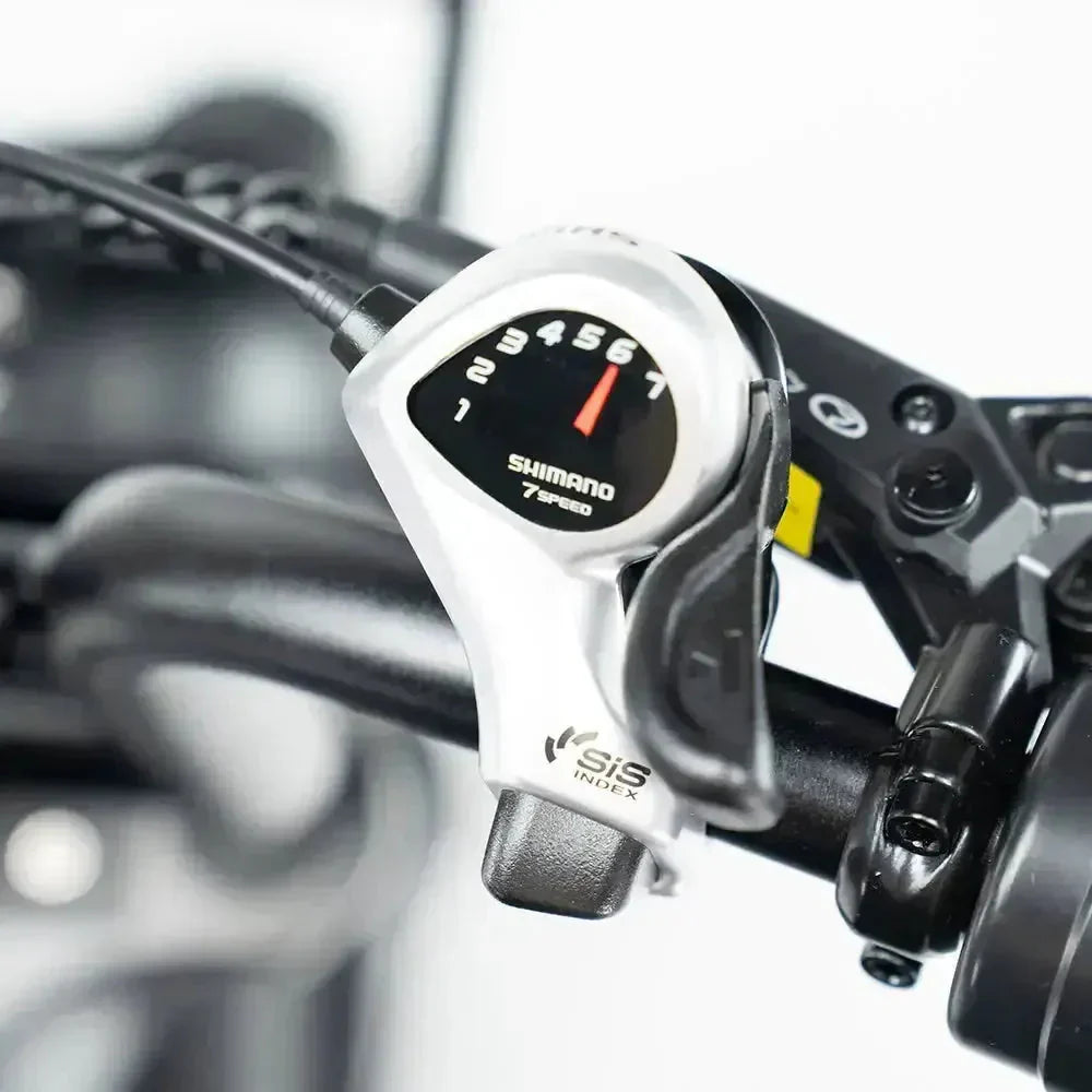 V20 Pro 9.0 500 WATT + Achterzitje + Voetsteuntjes + Alarm