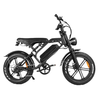 V20 Pro 9.0 500 WATT + Achterzitje + Voetsteuntjes + Alarm