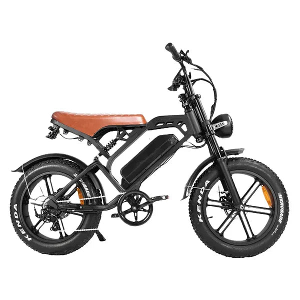 V20 Pro 9.0 500 WATT + Achterzitje + Voetsteuntjes + Alarm