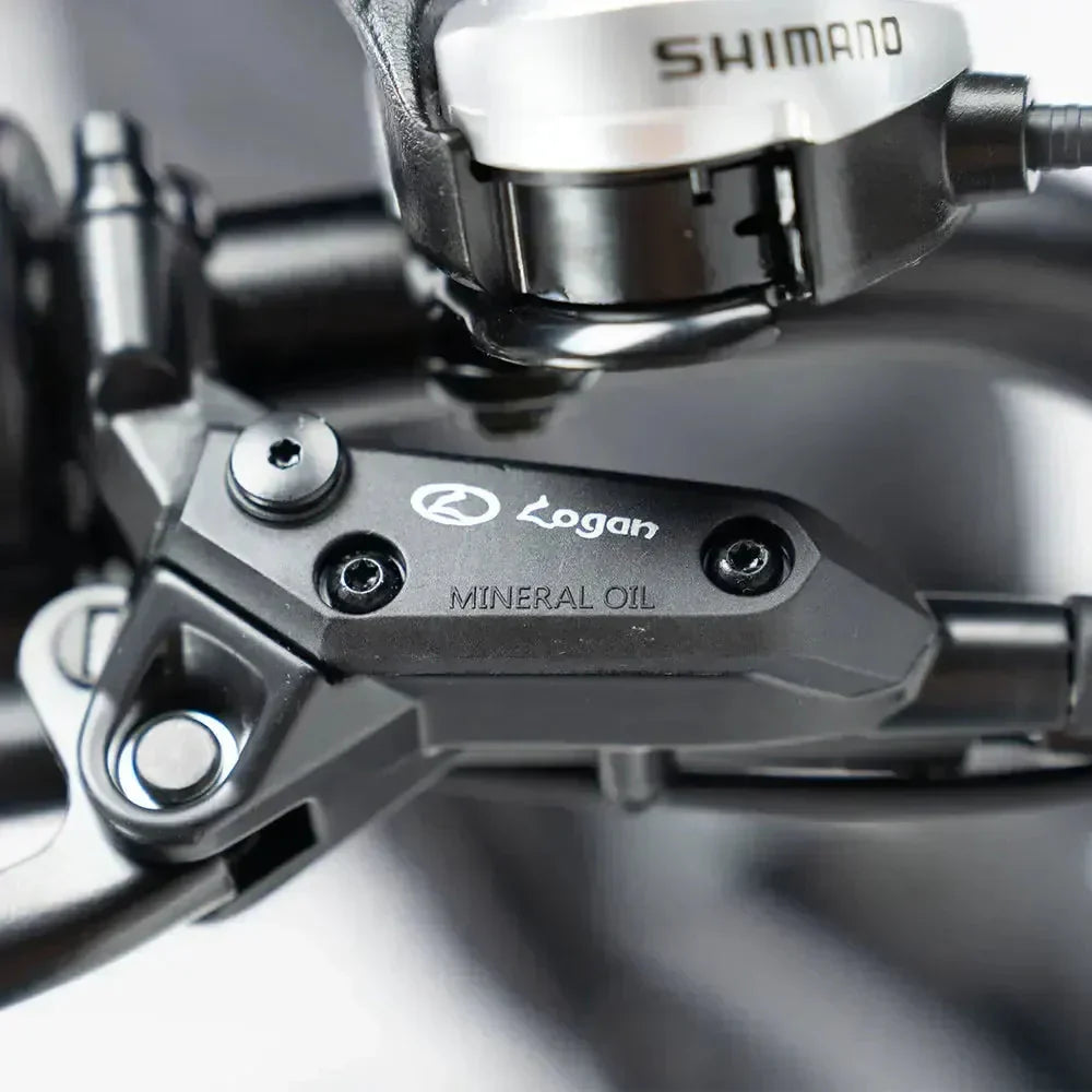 V20 Pro 9.0 500 WATT + Achterzitje + Voetsteuntjes + Alarm