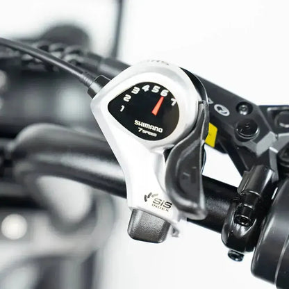 V20 Pro 9.0 500 WATT + Achterzitje + Voetsteuntjes + Alarm